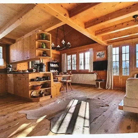 Warm Timbers Flat With Generous Living Area * Schönried